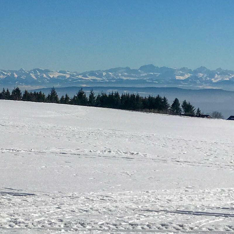 Dorfschmiede Höchenschwand - Alpenblick mit Schneelandschaft